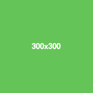 300x300 (3)