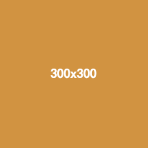 300x300 (5)